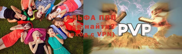 ПСИЛОЦИБИНОВЫЕ ГРИБЫ Бородино