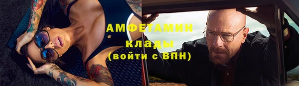 ПСИЛОЦИБИНОВЫЕ ГРИБЫ Бородино