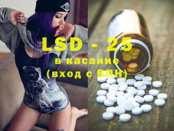 ПСИЛОЦИБИНОВЫЕ ГРИБЫ Бородино