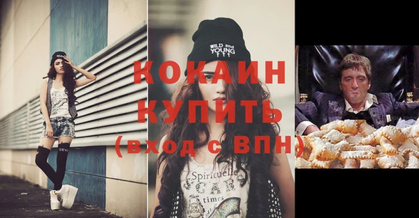 ПСИЛОЦИБИНОВЫЕ ГРИБЫ Бородино