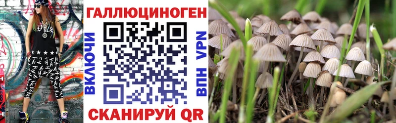 Купить где  Ильский  Псилоцибиновые грибы Magic Shrooms 